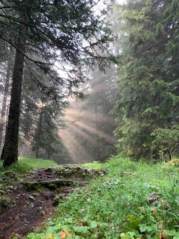 Дома для отпуска Vikendica Borje Жабляк