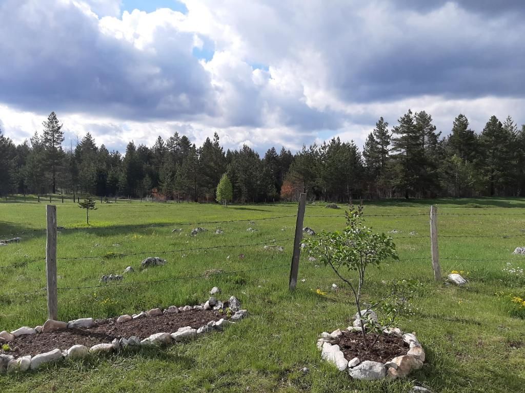 Дома для отпуска Vikendica Borje Жабляк