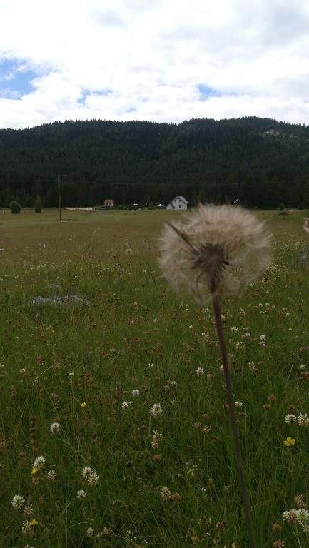 Дома для отпуска Vikendica Borje Жабляк