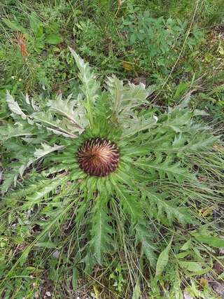 Дома для отпуска Vikendica Borje Жабляк Дом для отпуска-109