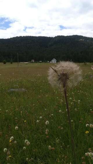 Дома для отпуска Vikendica Borje Жабляк Дом для отпуска-14