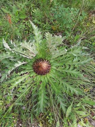 Дома для отпуска Vikendica Borje Жабляк Дом для отпуска-4