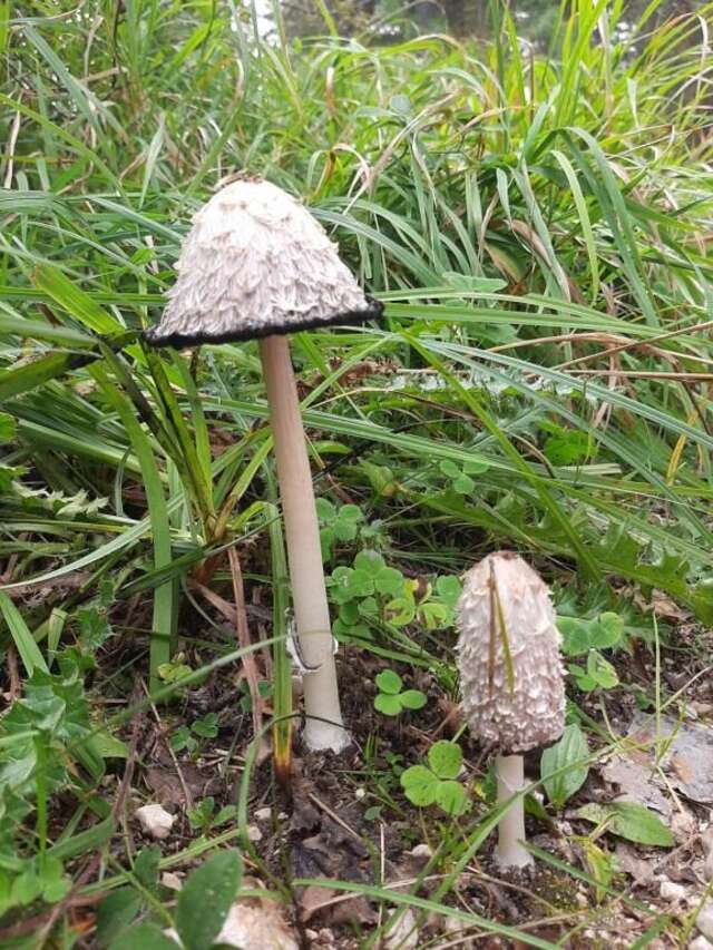 Дома для отпуска Vikendica Borje Жабляк-105