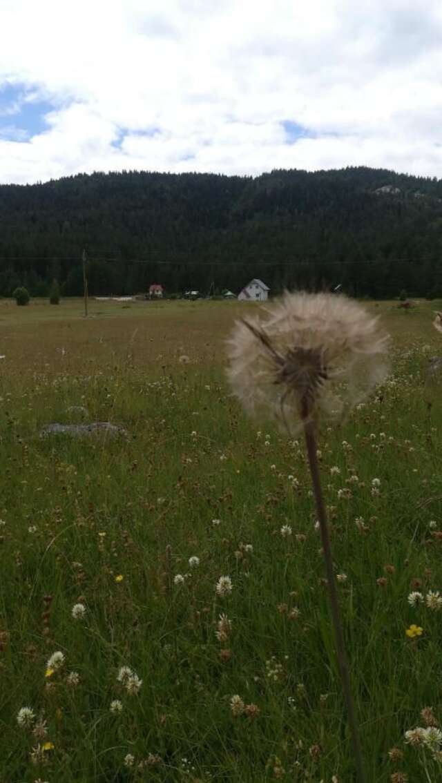 Дома для отпуска Vikendica Borje Жабляк-16