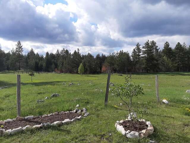 Дома для отпуска Vikendica Borje Жабляк-70