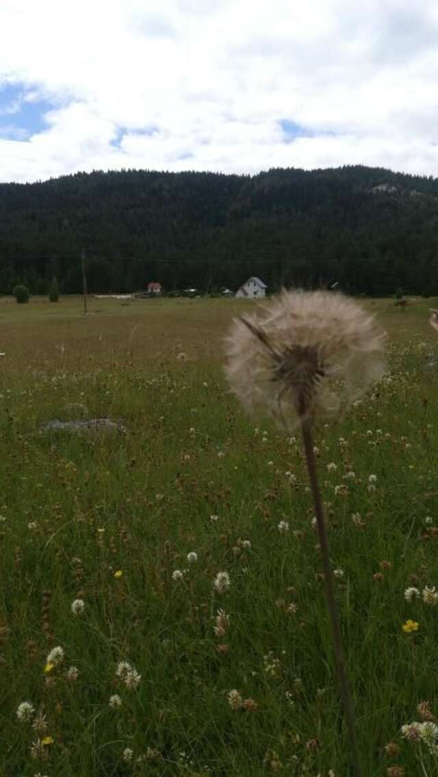Дома для отпуска Vikendica Borje Жабляк-99